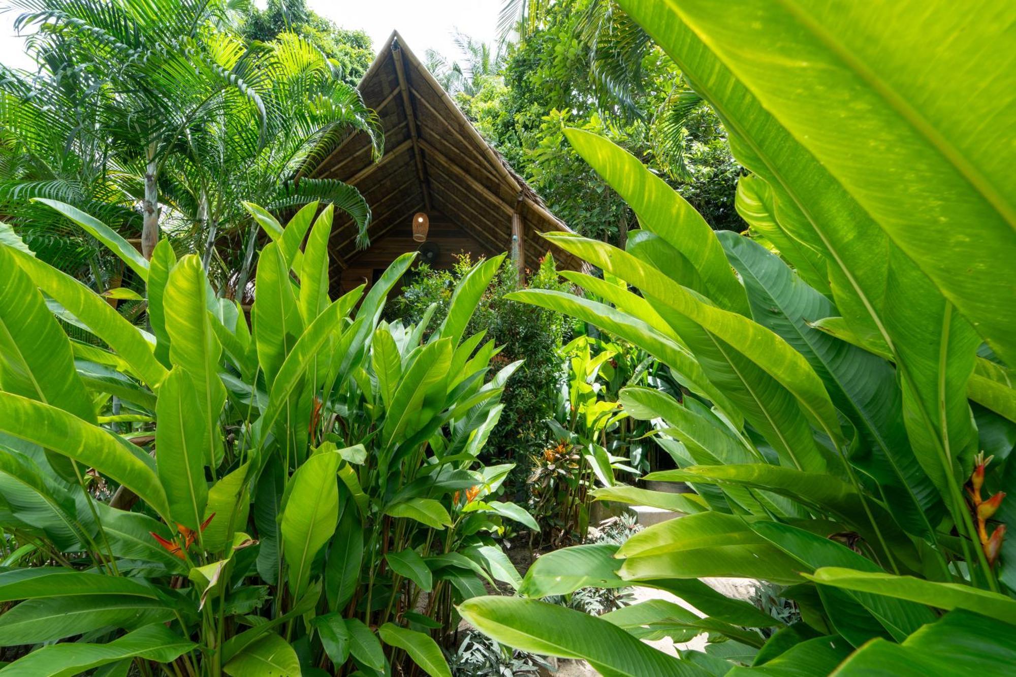 Bamboo Bay Eco Resort Srithanu Extérieur photo