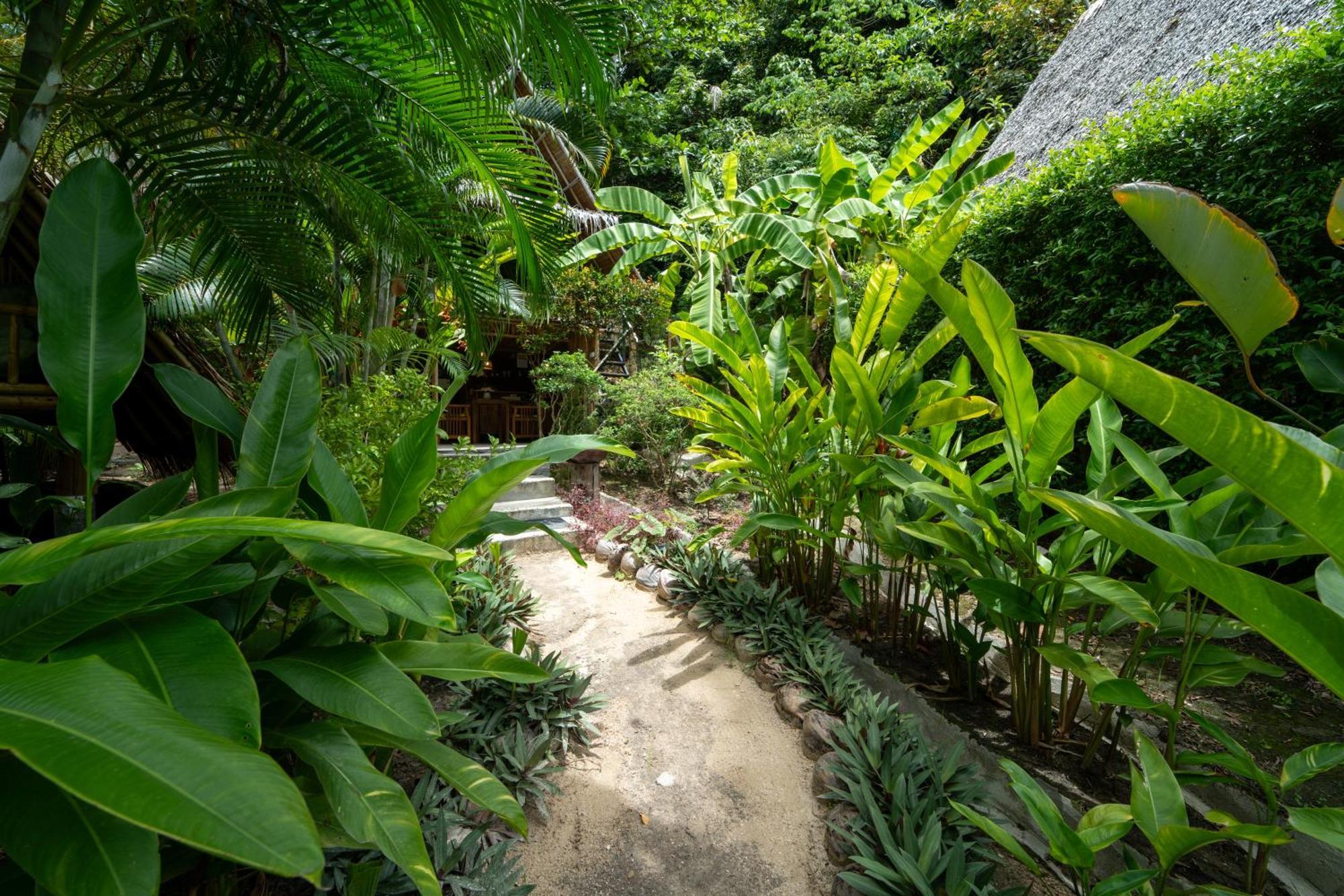 Bamboo Bay Eco Resort Srithanu Extérieur photo